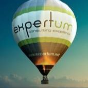 Expertum Consulting(@_Expertum_) 's Twitter Profile Photo