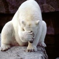 Mark Chappell (@chappell1970) 's Twitter Profile