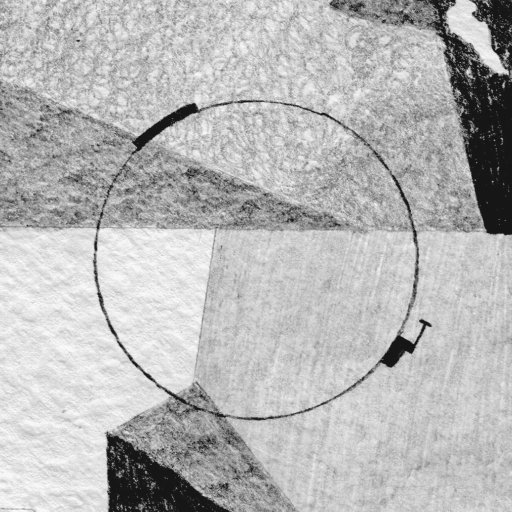 parallel__self's profile picture. Exploring the existence of our own parallel self.
Final Major Project | London College of Communication.  #multiverse #higherdimensions #graphicdesign