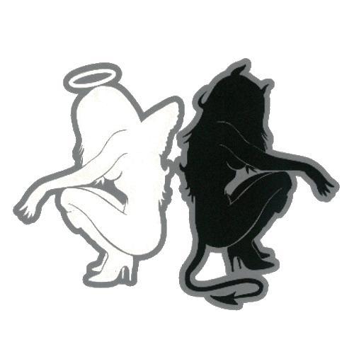 charnold17's profile picture. ..just a girl, experiencing life as it is