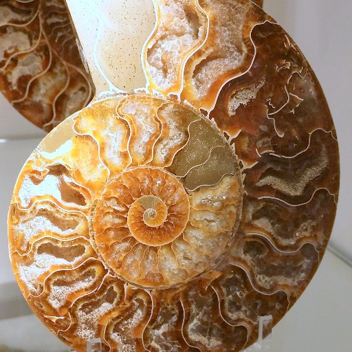 aliduran111's profile picture. 