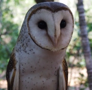 Wildlifeted's profile picture. We have lots o verry nice photos for sale have a look at Etsy.