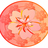 idryatrain's profile image