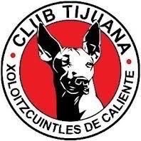 Vice President at Club Tijuana Xoloitzcuintles. Profesional Sports Team. @xolos @dorados