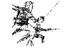 BirminghamInt's profile image