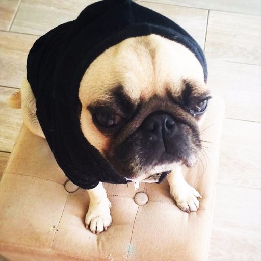 lilheckIer's profile picture. 