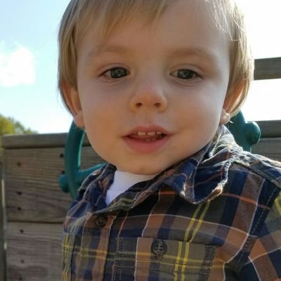 ma_atthias's profile picture. Proud papa and data analyst at @BrookhavenLab