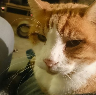 JaneJanehomer's profile picture. 