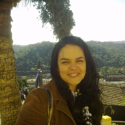 SilviaAOArantes's profile picture. 