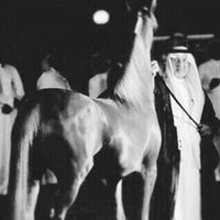 خفيّه. 🇦🇪 (@key_ech) 's Twitter Profile Photo