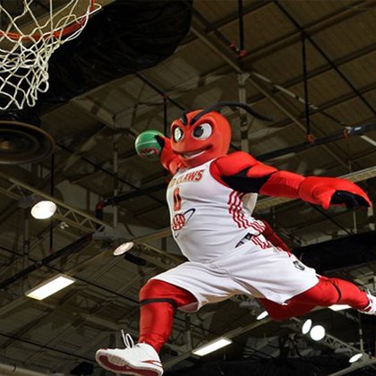 Official mascot of Maine Red Claws