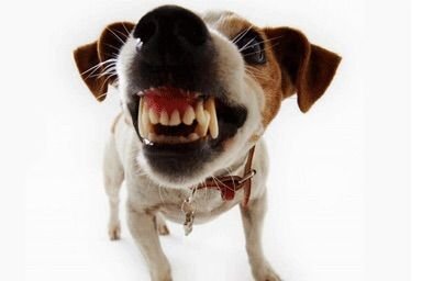 theguru88's profile picture. Sport Calcio Club della Serie A TIM Club della Serie A TIM Tecnologia e Scienza Tecnologia Notizie Notizie sportive