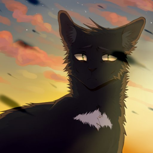 Jυѕт уσυ'яє ανєяαgє тιηу тσм ωнσ ωαηтѕ тσ gяσω ;-;
Single, 10 moons. Almost always wearing a straight face and having zero emotion shown.