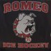 Romeo Ice Hockey (@romeoice) Twitter profile photo Romeo Ice Hockey (@romeoice) Twitter profile photo