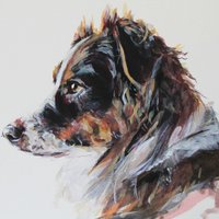 Paper Hounds(@paper_hounds) 's Twitter Profile Photo