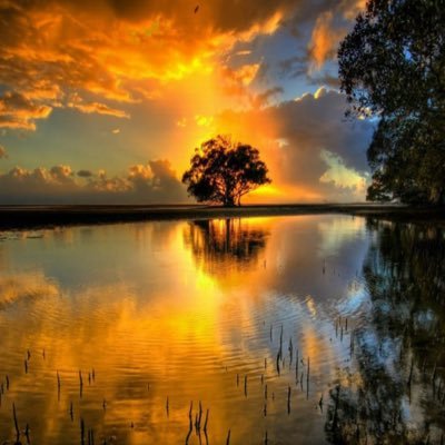 TGevrek's profile picture. 