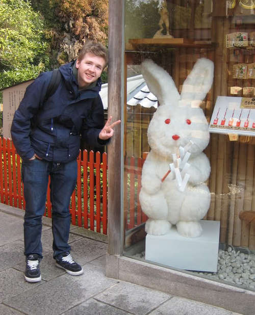 kitsunenl's profile picture. Twitt Twitt Twat