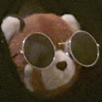 worms and plastic minnows (@wpminnows) 's Twitter Profile