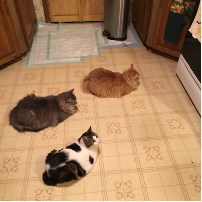 marcyhug's profile picture. 