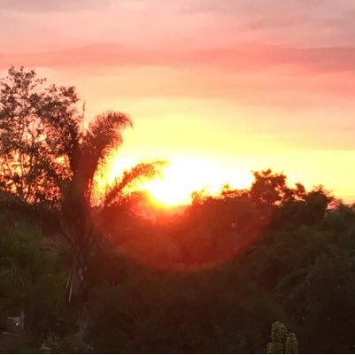 cherisanders50's profile picture. 