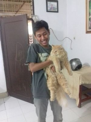 mr_rezkymr's profile picture. navcurldept