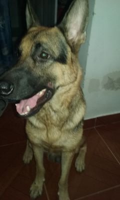 69o6o3's profile picture. 