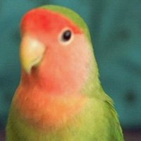 Mary Newman (@katbird74) 's Twitter Profile