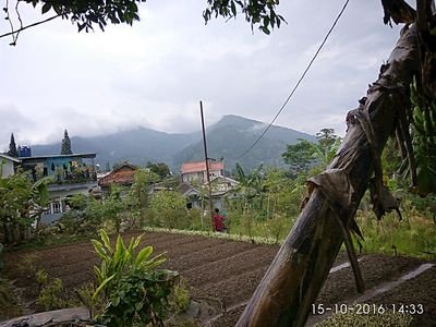 Pendidikan Politik & Pemerintahan