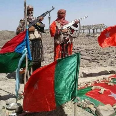 HameedZahoor's profile picture. 