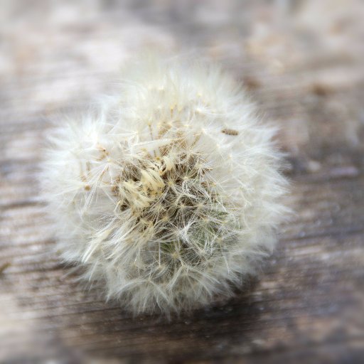 Pro du tourisme. Passion pour la #cuisine et le #numérique #foodblogger #Webredacteur.#cuisinenature. #macrophoto