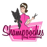 Shampooches Grooming(@ShampoochesDog) 's Twitter Profile Photo