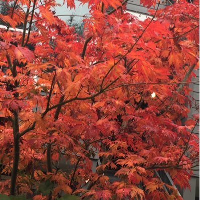 dlrcc01's profile picture. https://t.co/6F5cGRC6Dn