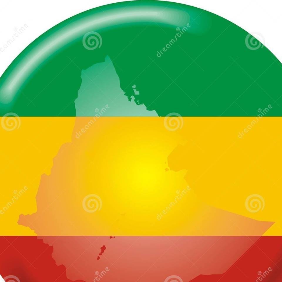 zeMegeran's profile picture. 