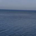 Dalton Manning Bower - @bowerd2010 - Twitter