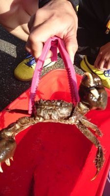 syoukoGH's profile picture. 釣り野球映画メダカモンハンなうHR295千葉民
人生は一度楽しもう