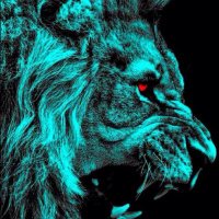 Sully (@sully_for_win) 's Twitter Profile