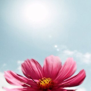 sspark4's profile picture. 