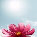 sandra goodyear - @sspark4 - Twitter