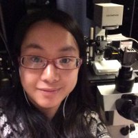 Bing Fu (@fubingf) 's Twitter Profile