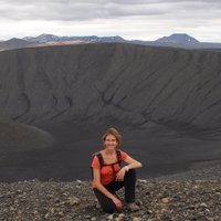 María José Tapia (@mjtapiague) 's Twitter Profile