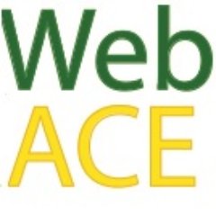 WebACE_NL's profile picture. Door mijn ervaring in marketing en sales weet ik hoe belangrijk een website kan zijn!