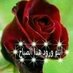 طائر الرخ (@vj0wqjezwr3xxhh) Twitter profile photo طائر الرخ (@vj0wqjezwr3xxhh) Twitter profile photo