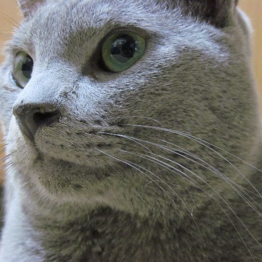 bikegooo's profile picture. バイク、車大好き
#相互フォロー