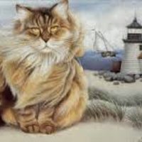 Maggie (@mslighthousecat) 's Twitter Profile