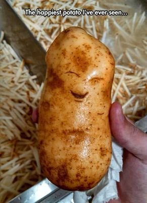 shammyrage1984's profile picture. 