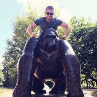 Dr Paul Head (@drphphysio) 's Twitter Profile