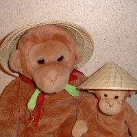 咲＠ (@sakzo) 's Twitter Profile