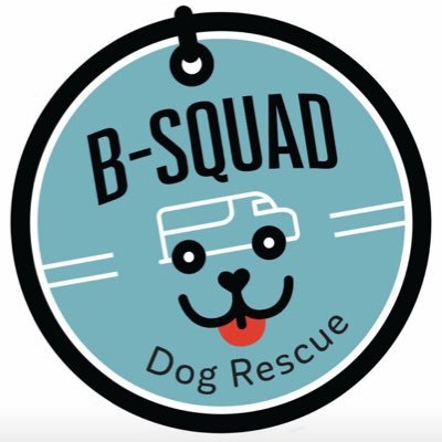 B-Squad Dog Rescue (@BSquadDogRescue 