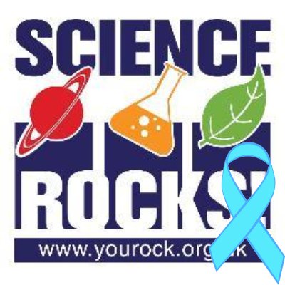 ScienceRocks!  Building Their Knowledge Inspiring Their Future. You Rock! CIC a social enterprise
