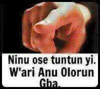 tinuolaiyabo's profile picture. 